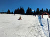 wp_20170309_10_22_44_pro