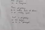 PRIJATELJSTVO_